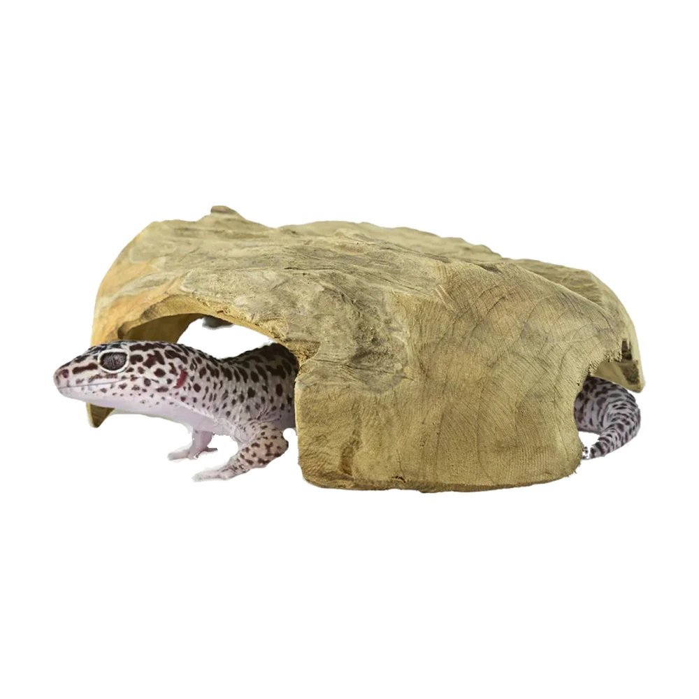 Back Zoo Nature Teaky House