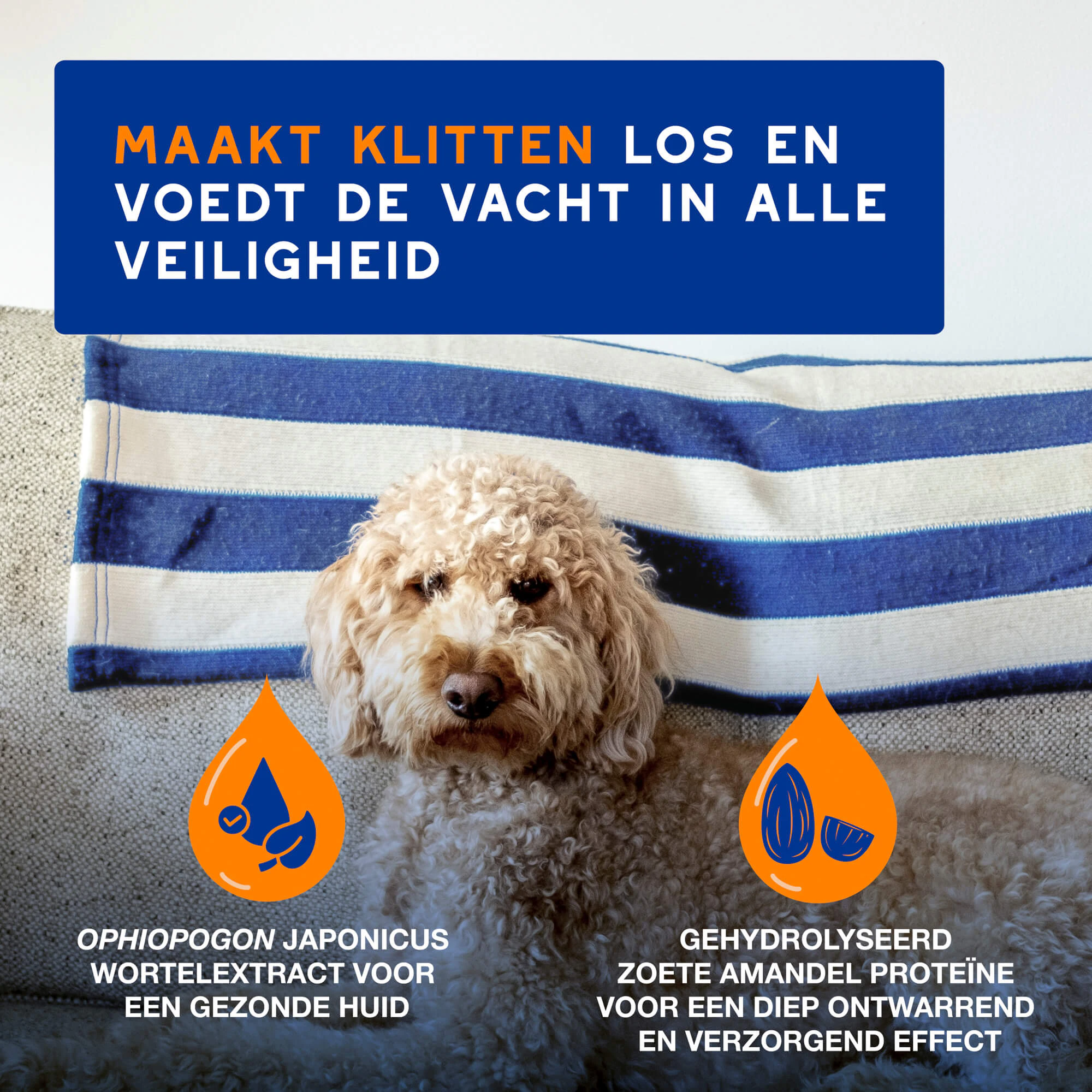 Douxo Spa Spray Ontwarrend