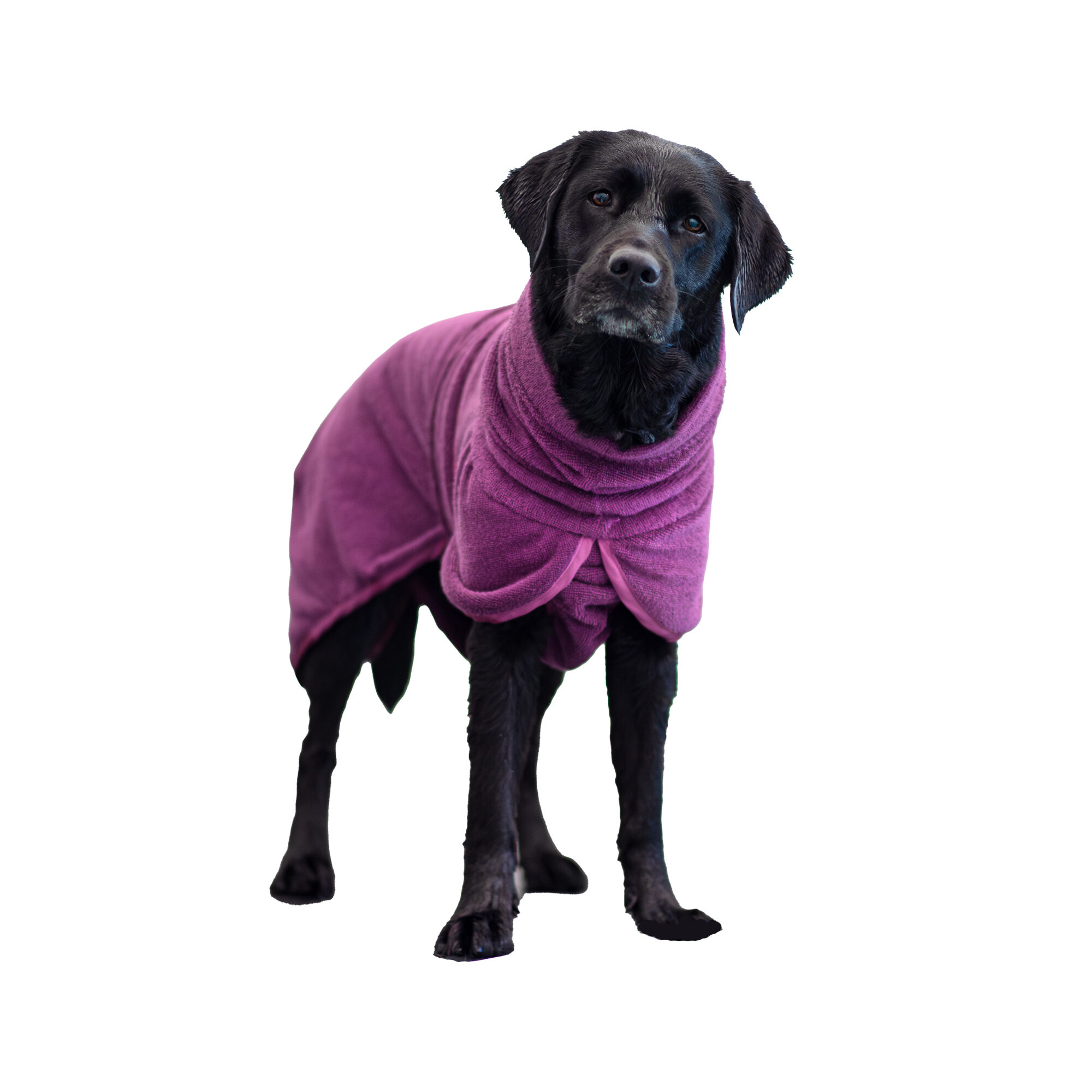 Pomppa BathPomppa Dog Robe