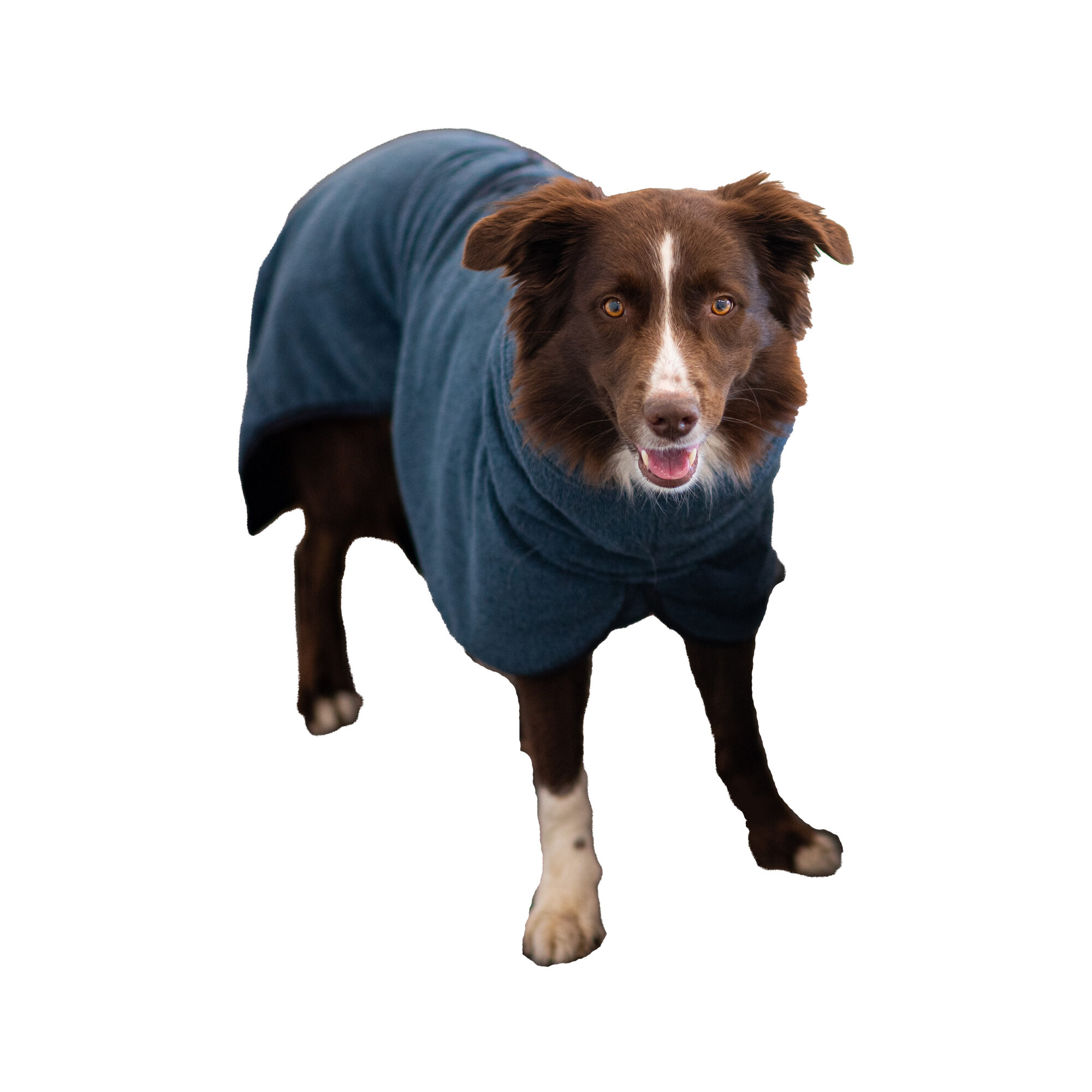 Pomppa BathPomppa Dog Robe