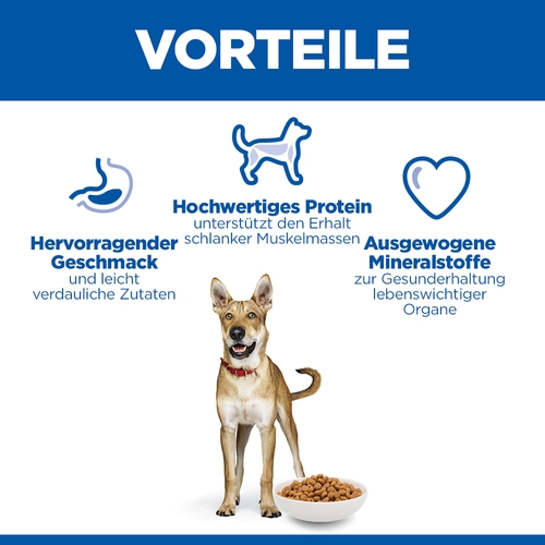Hill's Science Plan Adult Performance Hundefutter