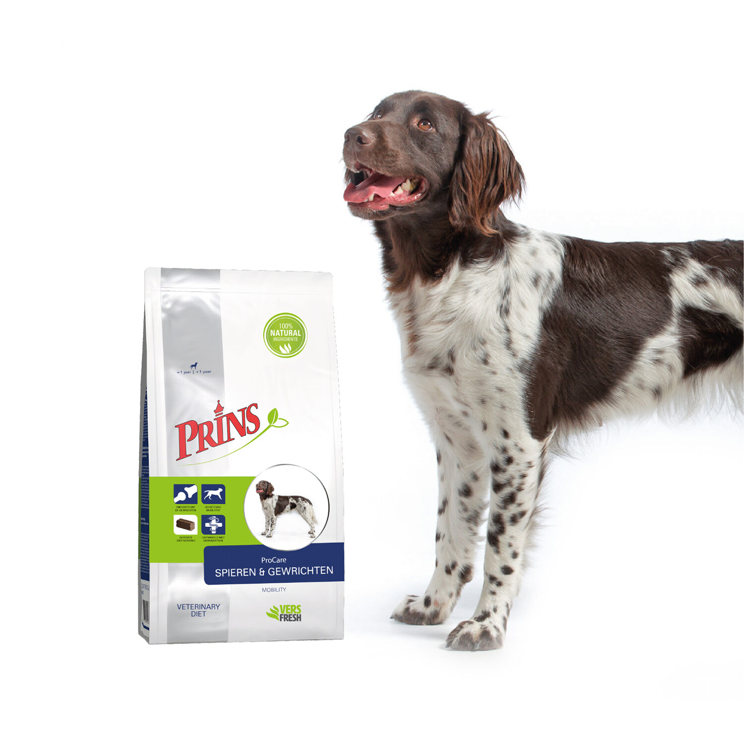 Royal canin hotsell springer spaniel food