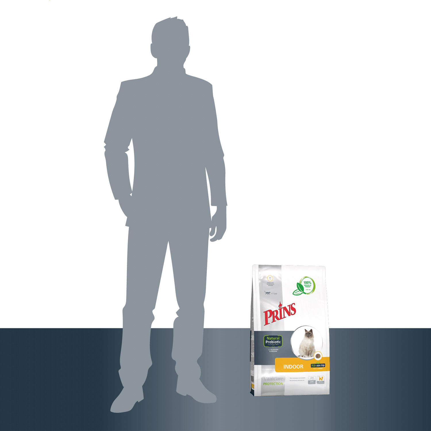 Prins VitalCare Protection Indoor
