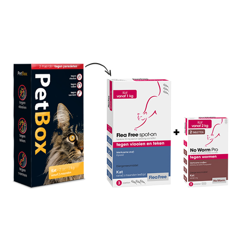 PetBox Chat