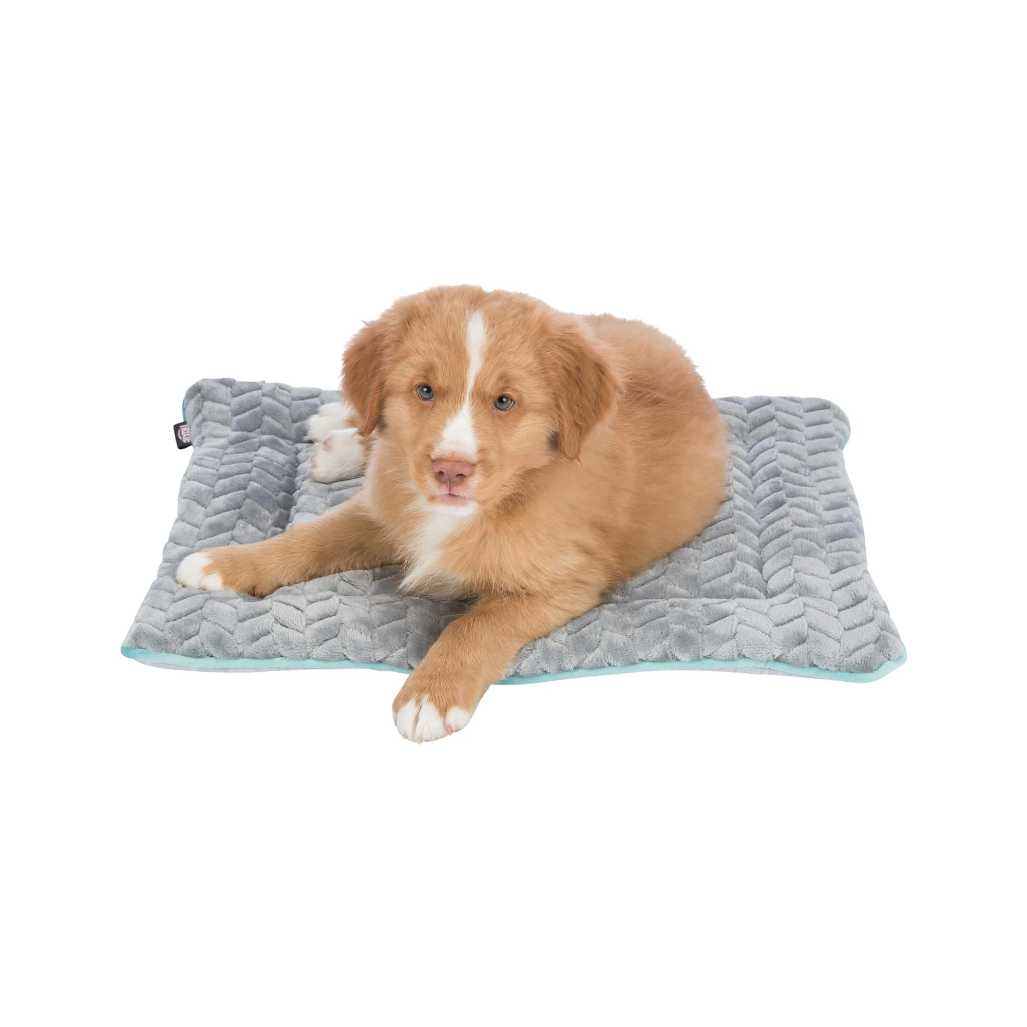 Trixie Junior Ligmat Hond Bestel Medpets be Trixie Junior Ligmat Hond Bestel Medpets be