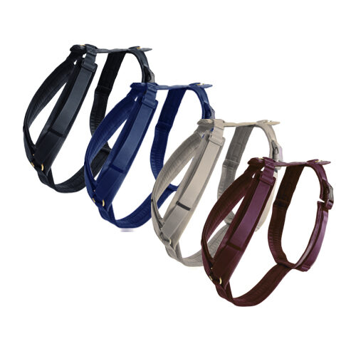 Kentucky Dog Harness Active Velvet