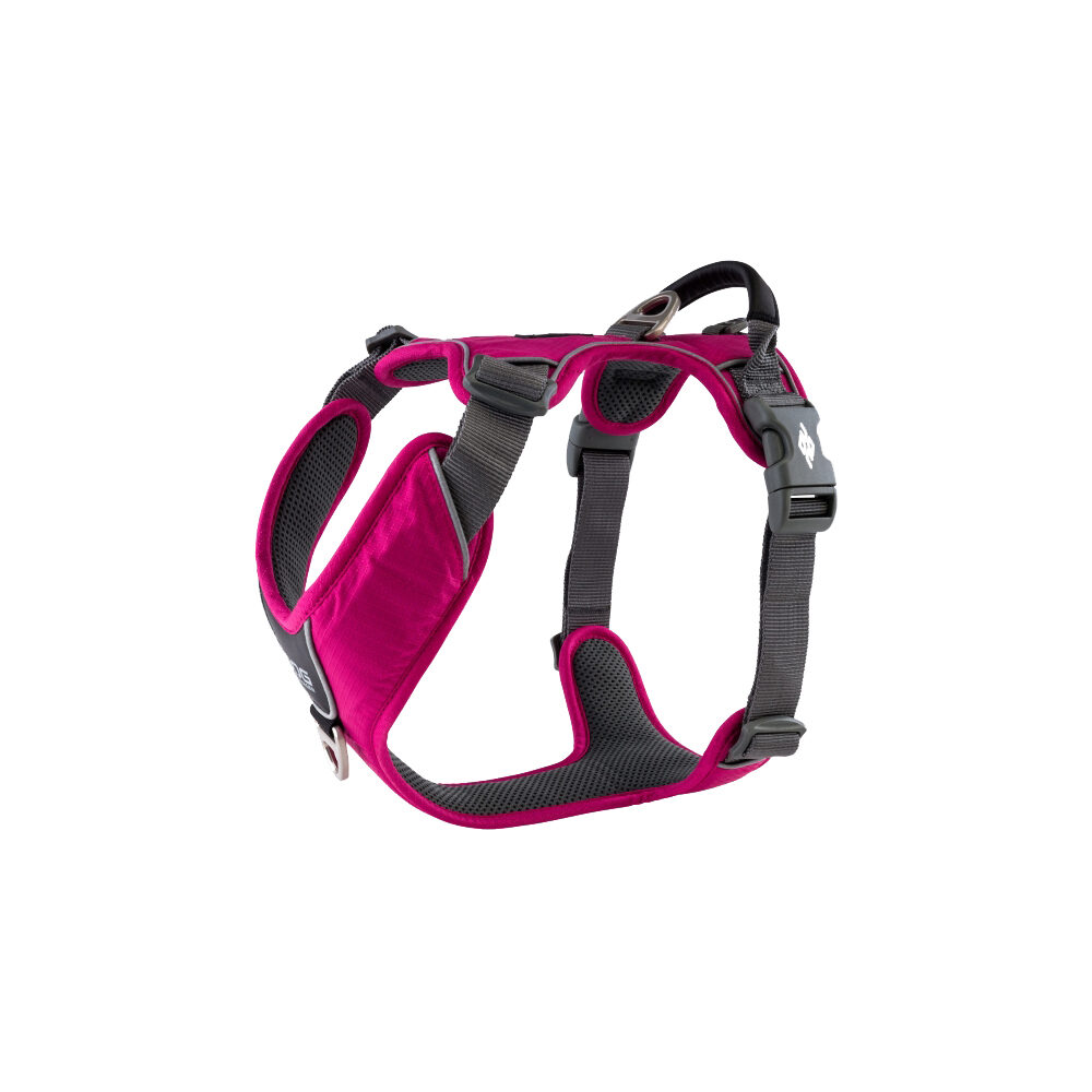 Rose dog harness sale