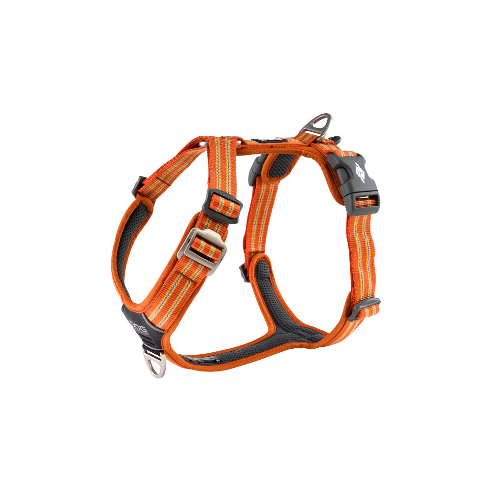 Comfort X Hundegeschirr Mit Doppelverschluss – Größe XL, Farbe Violett