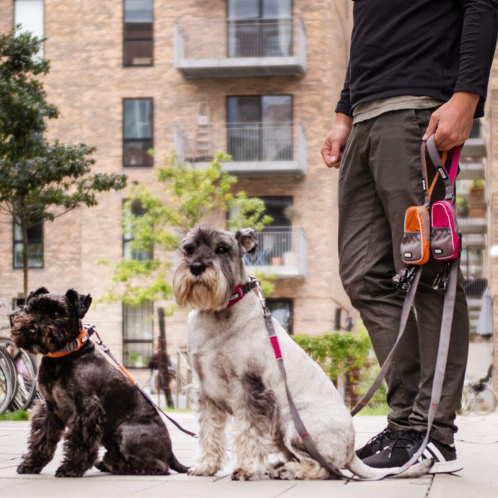 DOG Copenhagen Urban Trail 3.0 Hundeleine L - Mit Kotbeutelspender & Organizer Tasche