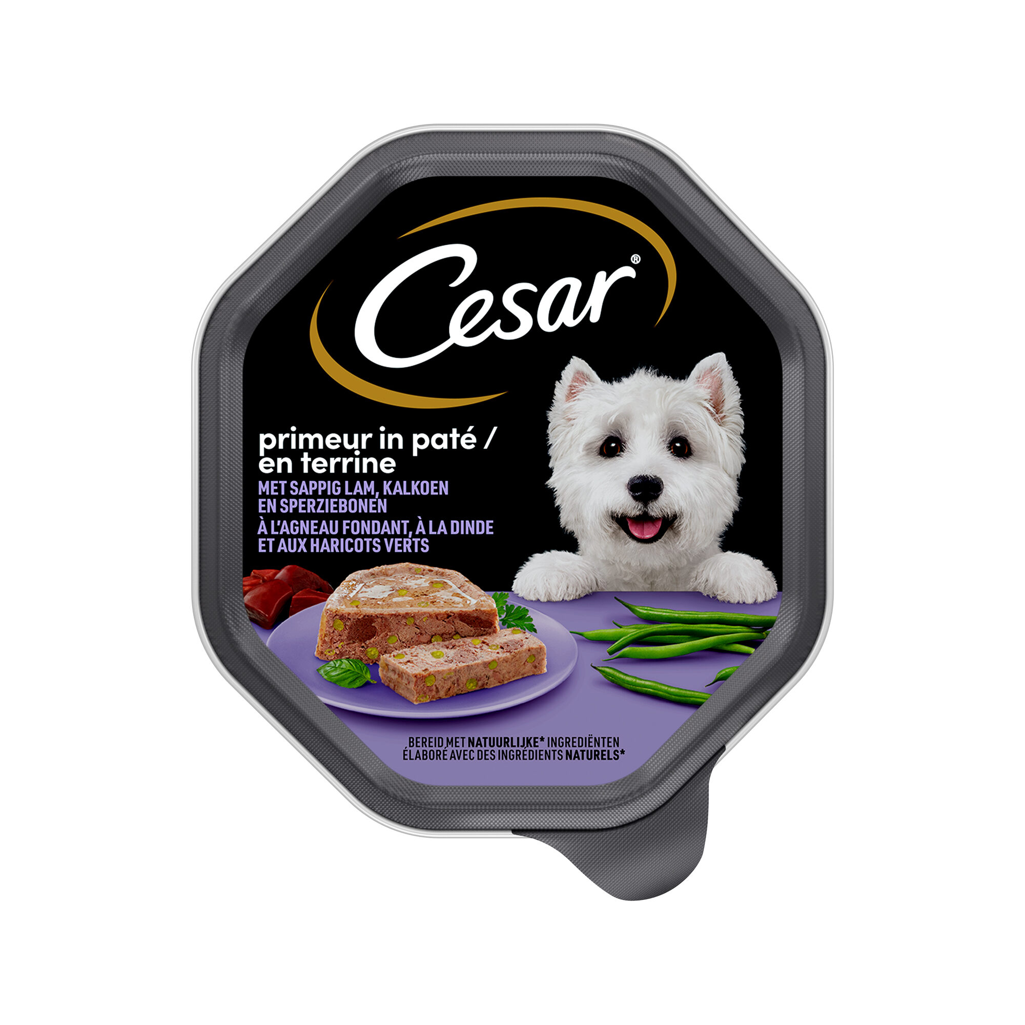 matte für katzenstreu Innovative Katzenstreumatte Katzenklo Matte wasserdicht Fellnasenstube main image 0