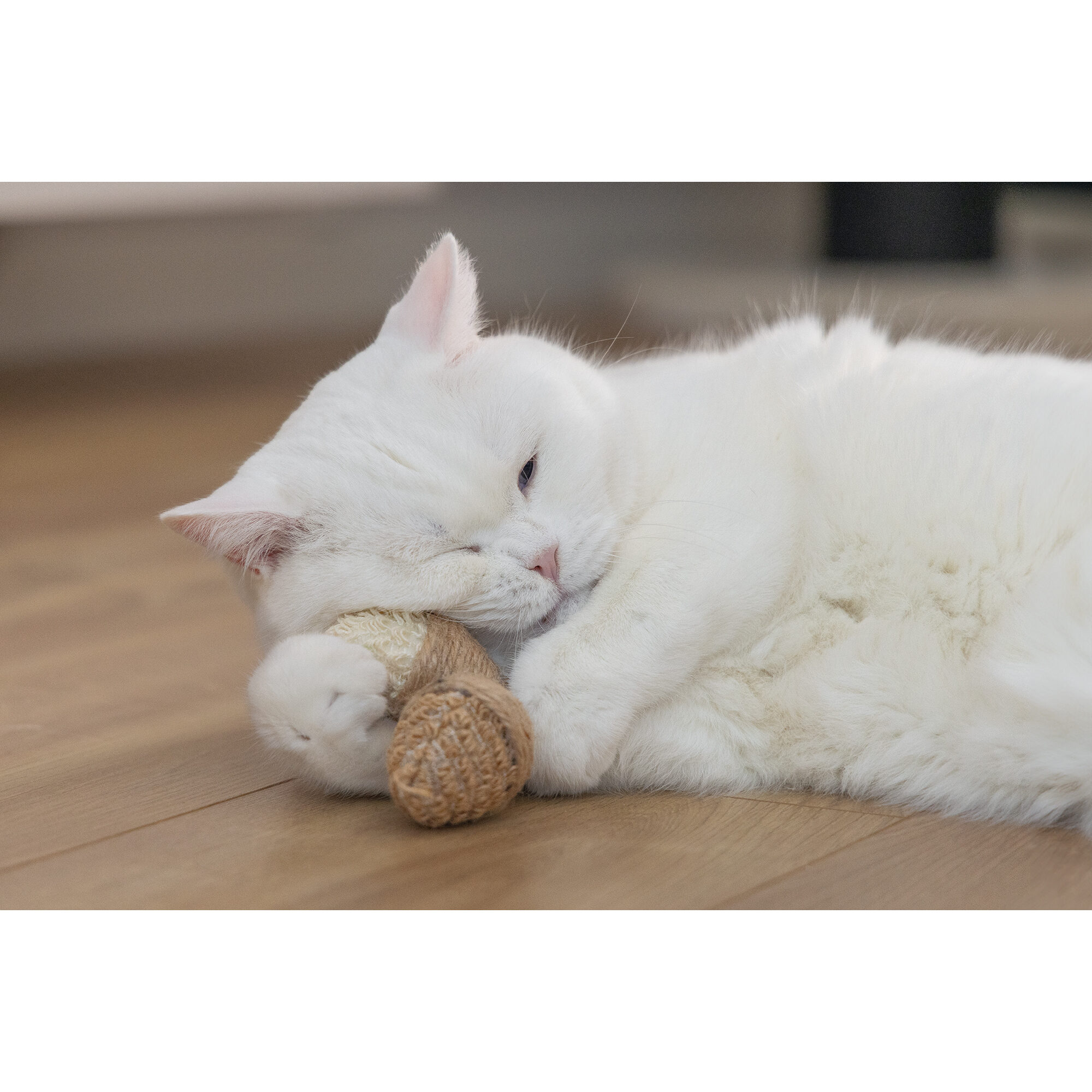 Beeztees Catnip Eichel-Terry