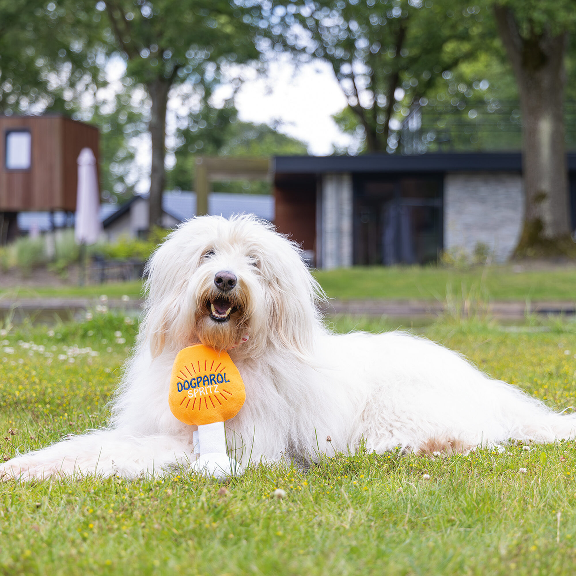 hundebett martin rütter Hundebett KUDDE Kunstleder