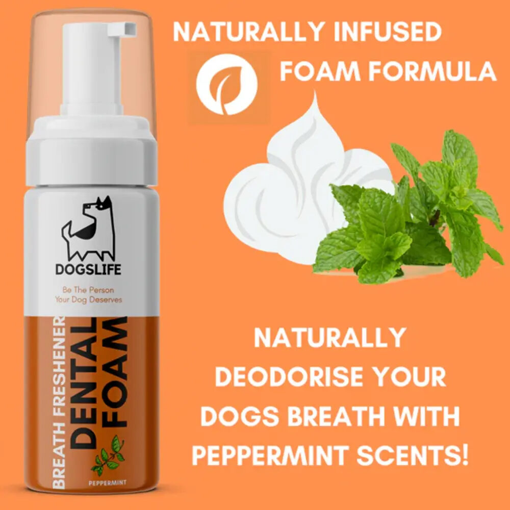 DogsLife Dental Foam