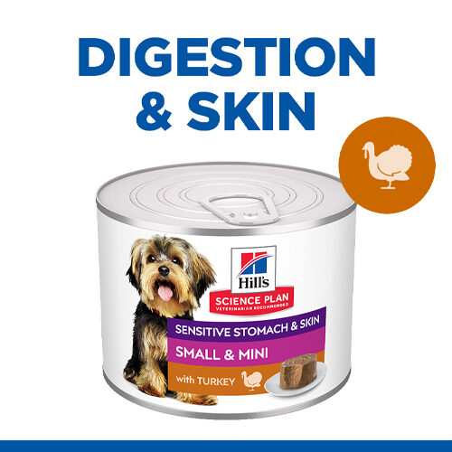 Hill's Science Plan Adult Sensitive Stomach & Skin Small & Mini Mousse - Turkey