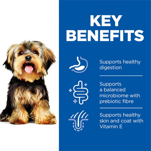 Hill's Science Plan Adult Sensitive Stomach & Skin Small & Mini Mousse - Turkey