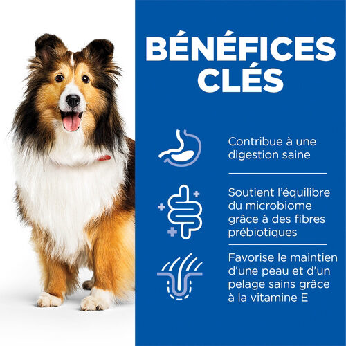 Hill's Science Plan - Nourriture pour Adulte Sensible de l'Estomac & de la Peau au Poulet