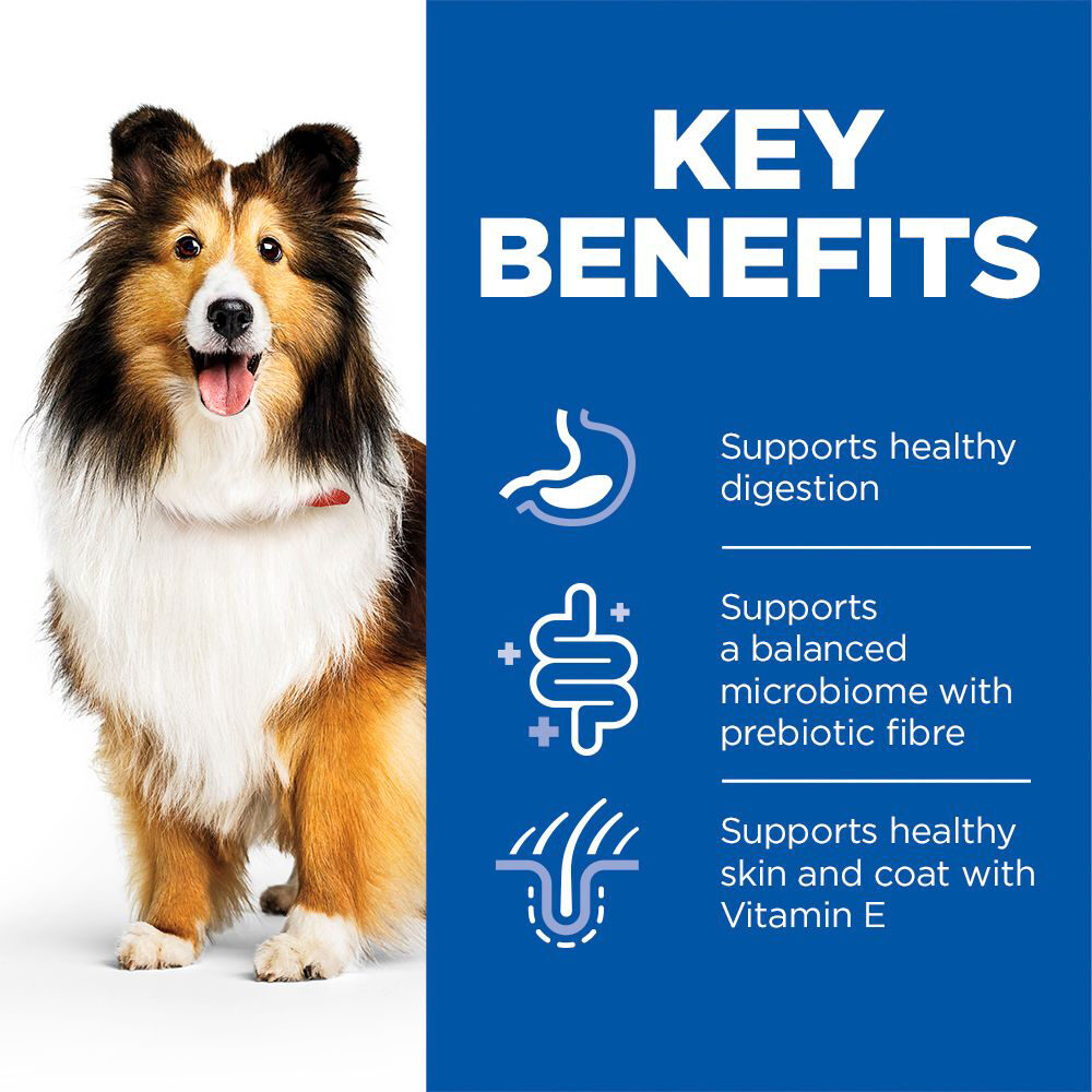 Hill's Science Plan Adult Sensitive Stomach & Skin - Chicken