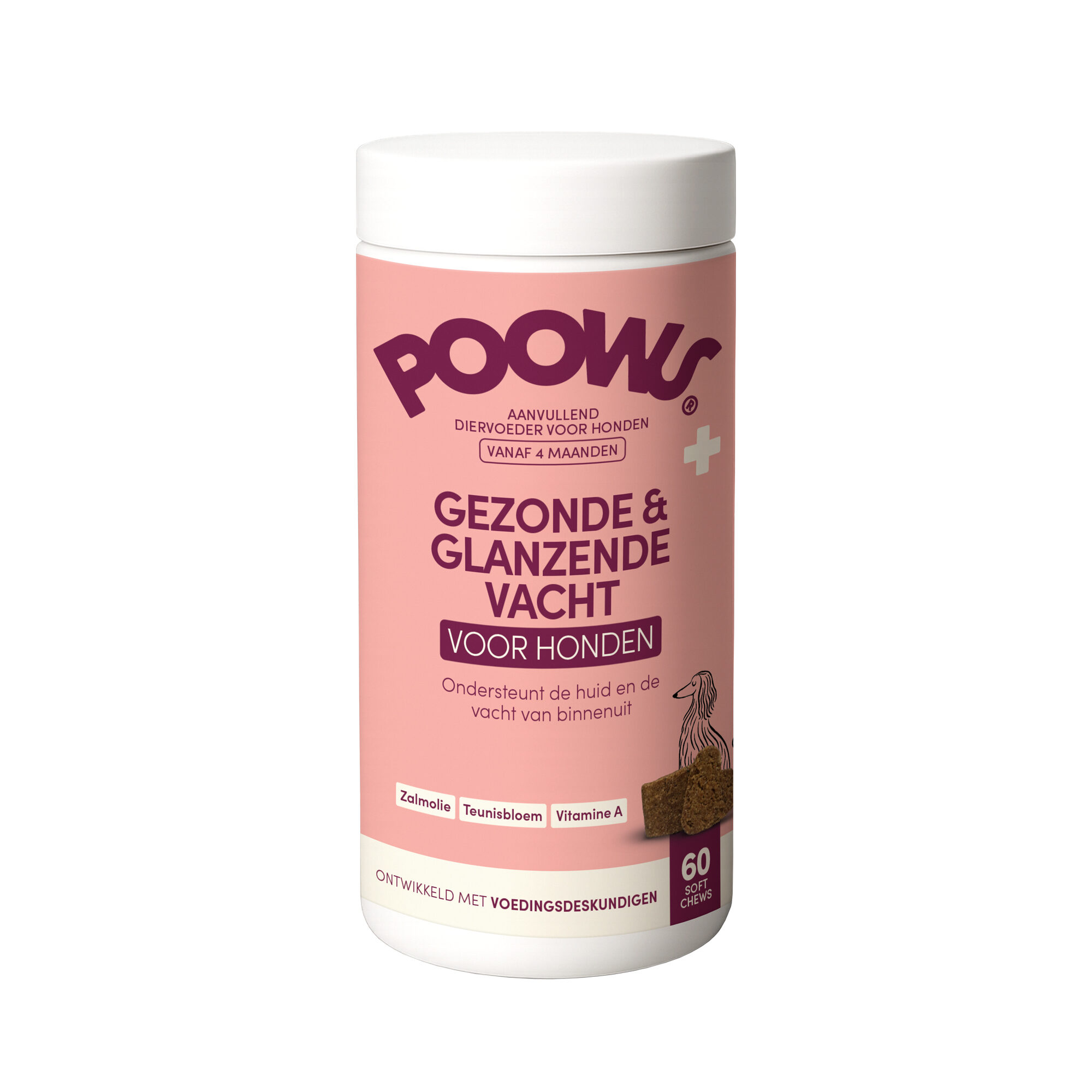 Poows Peau Saine & Pelage Brillant
