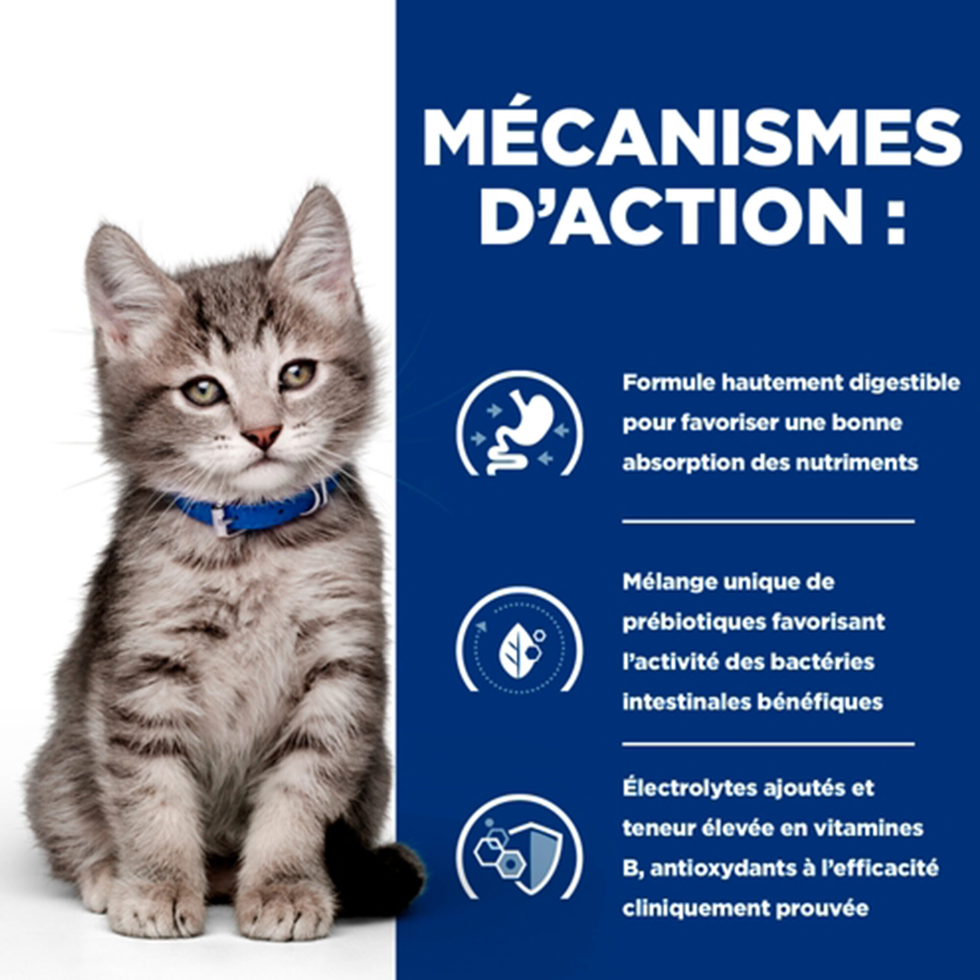 Hill's i/d Digestive Care - Prescription Diet - Chaton - Sachet repas