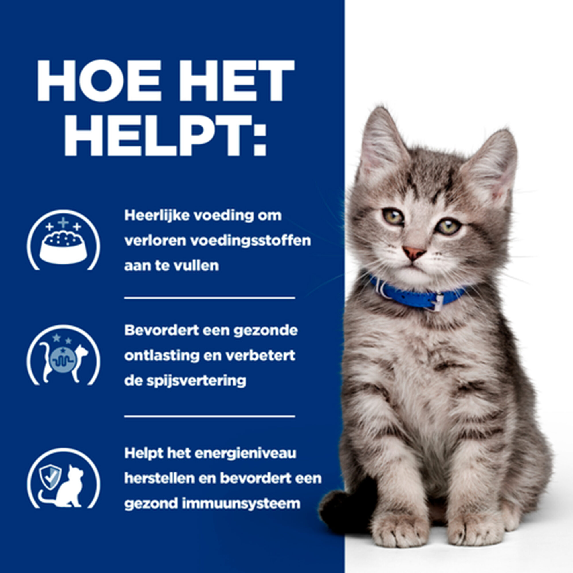 Hill's i/d Digestive Care Kitten | Bestellen | Medpets.nl