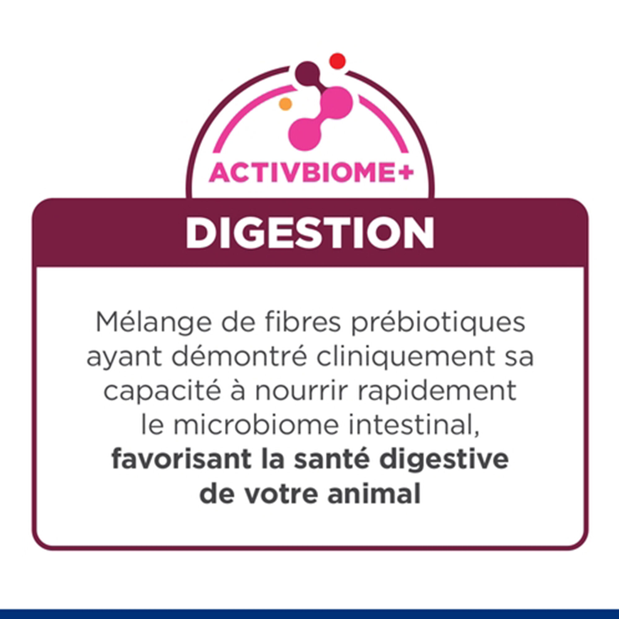 Hill's i/d Digestive Care - Prescription Diet - Chaton
