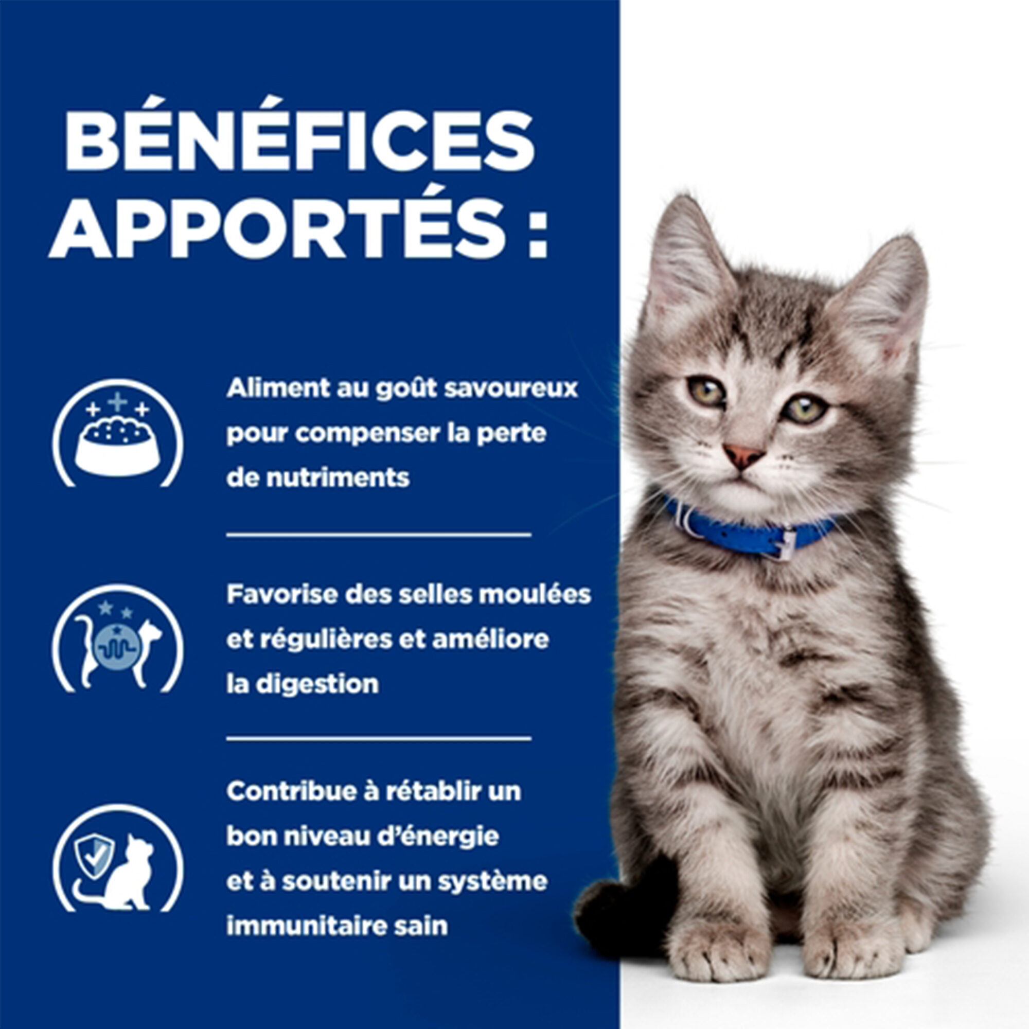 Hill's i/d Digestive Care - Prescription Diet - Chaton