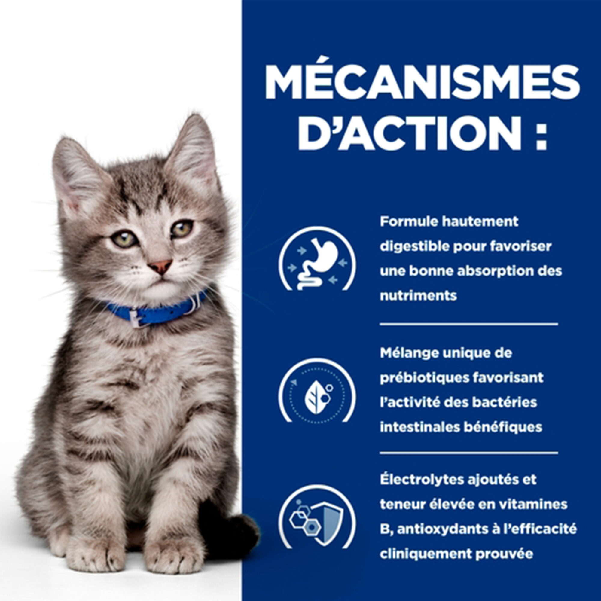 Hill's i/d Digestive Care - Prescription Diet - Chaton