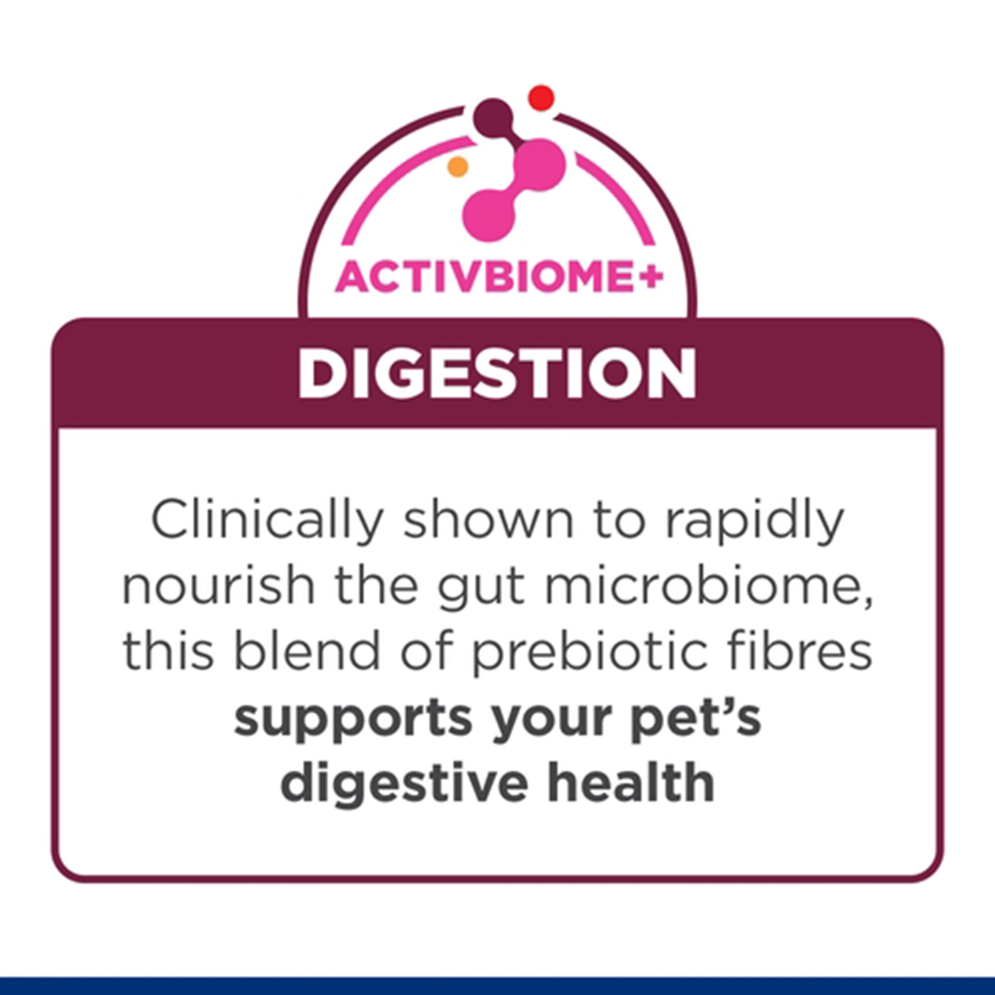 Hill's i/d Digestive Care - Prescription Diet - Kitten