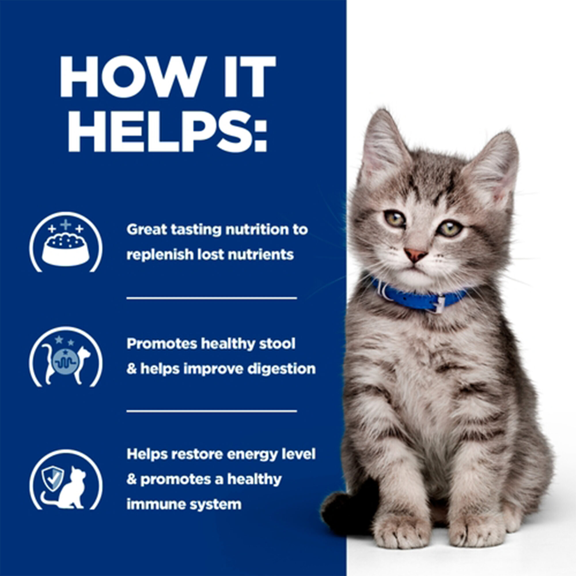 Hill's i/d Digestive Care - Prescription Diet - Kitten