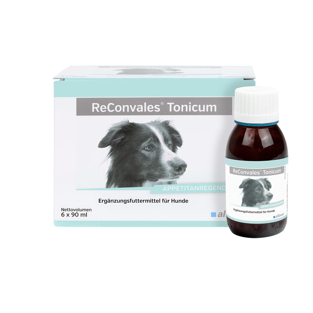ReConvales Tonicum Hond
