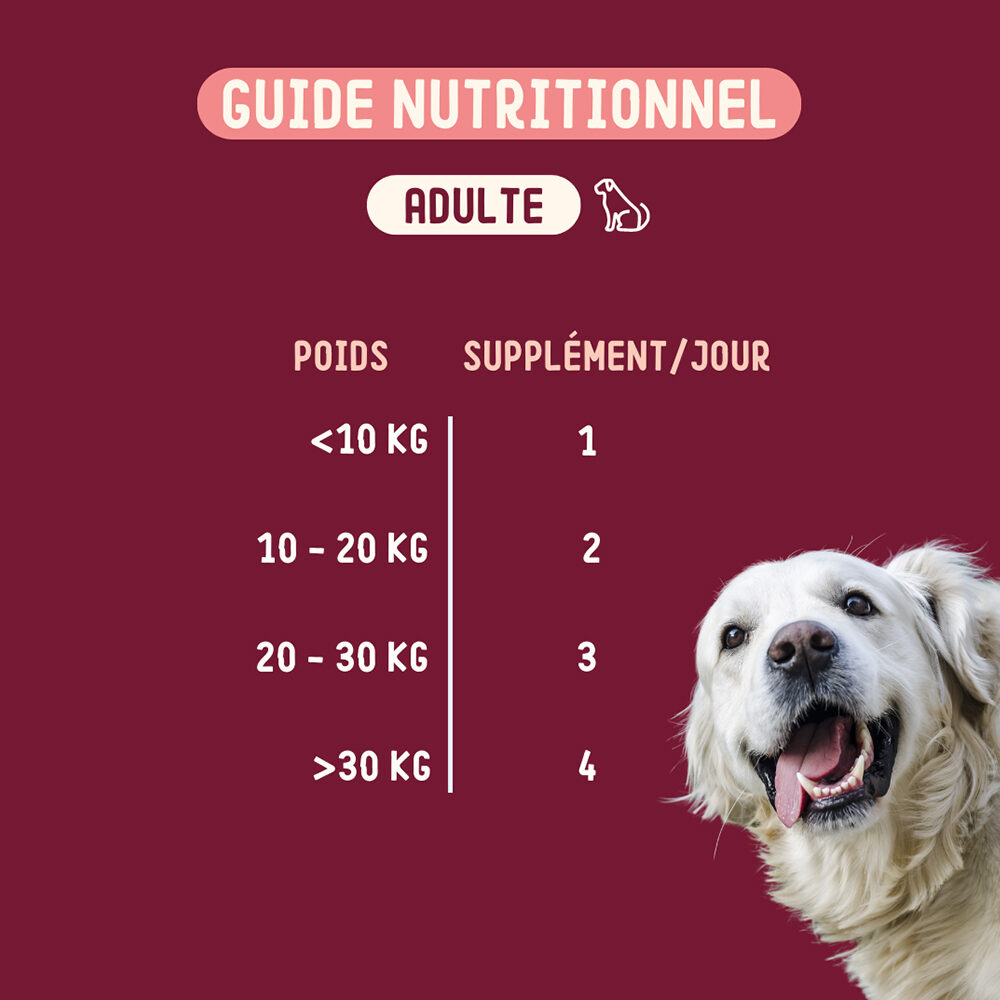 Imby Skin Health Chien