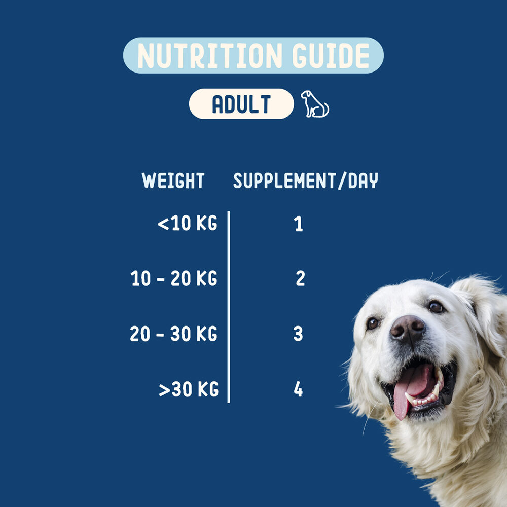 Imby Probiotics Hund