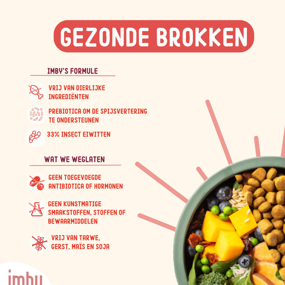 Imby Gastrointestinal Insect-Based Adult
