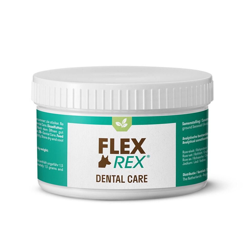 FlexRex Dental Care