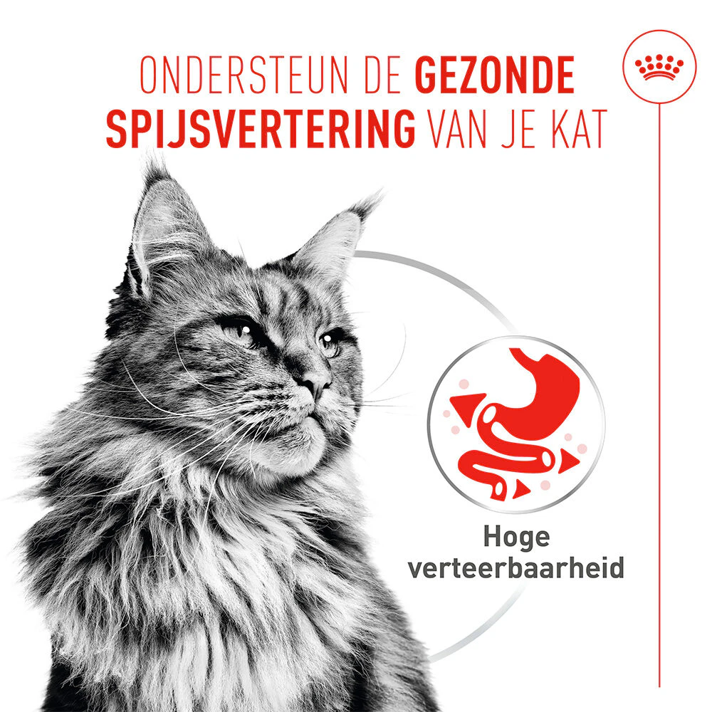Royal Canin Digestive Care Mousse - Kattenvoer