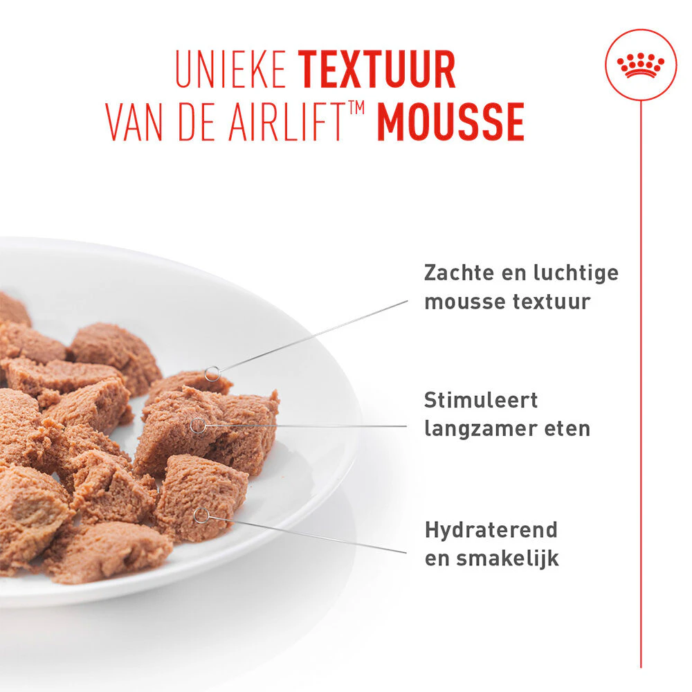 Royal Canin Digestive Care Mousse - Kattenvoer