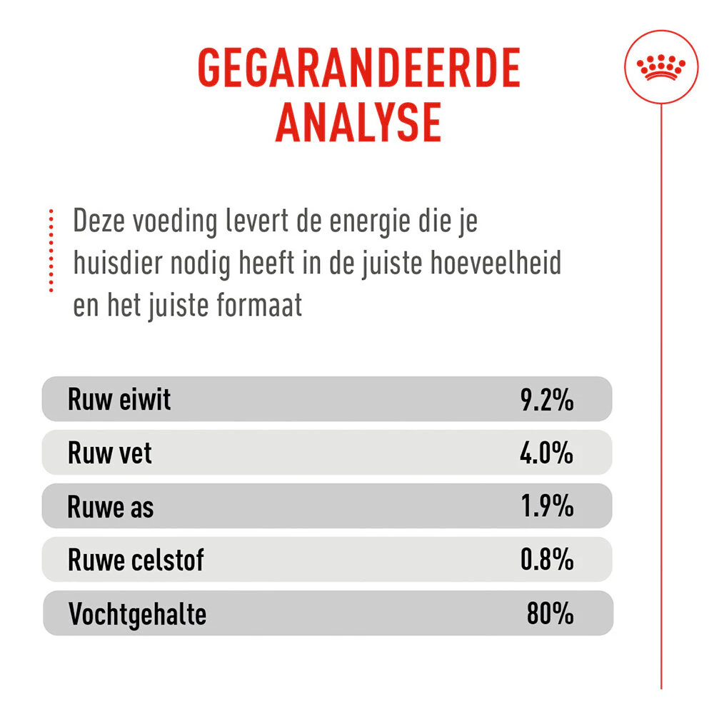 Royal Canin Digestive Care Mousse - Kattenvoer