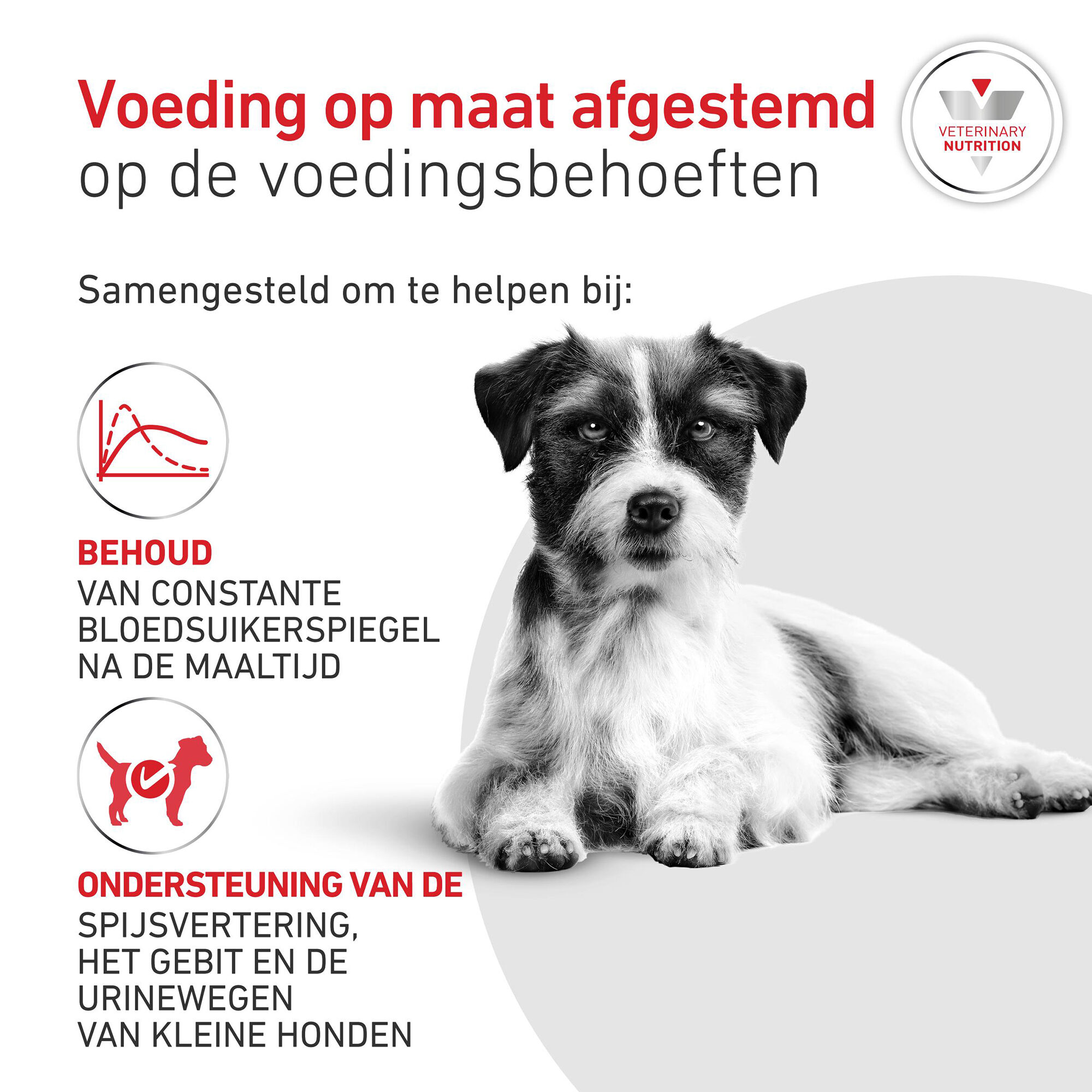 Royal Canin Glycobalance Small Dog