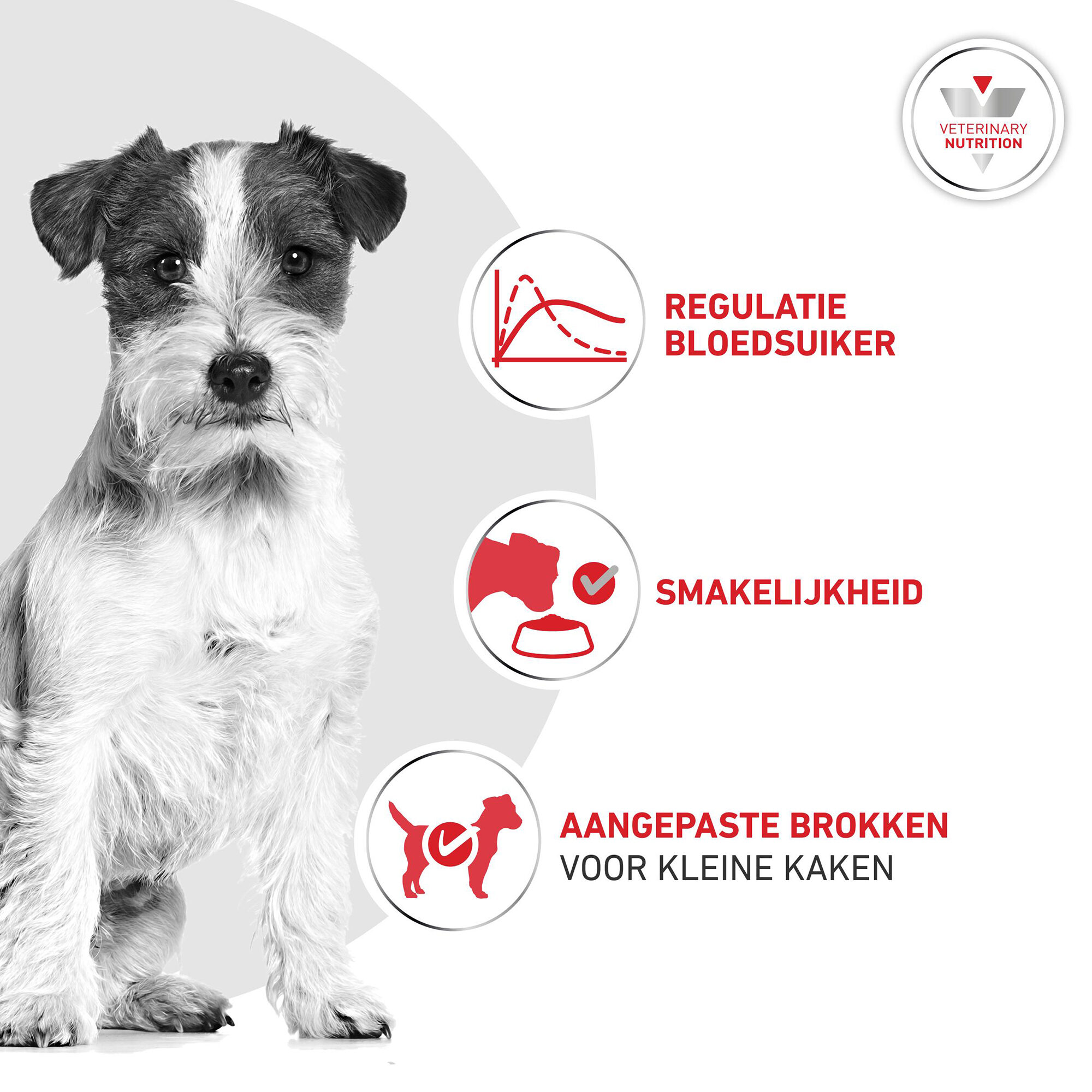 Royal Canin Glycobalance Small Dog