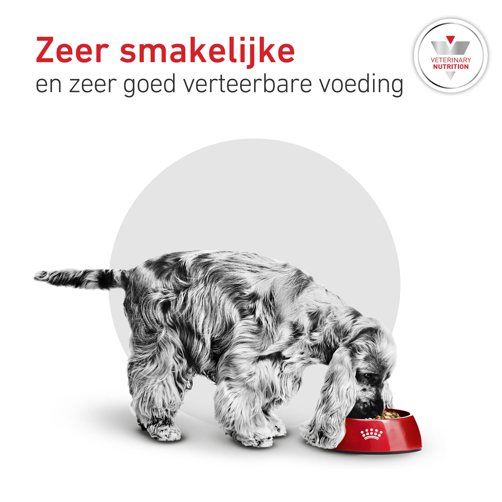 Royal Canin Glycobalance Small Dog