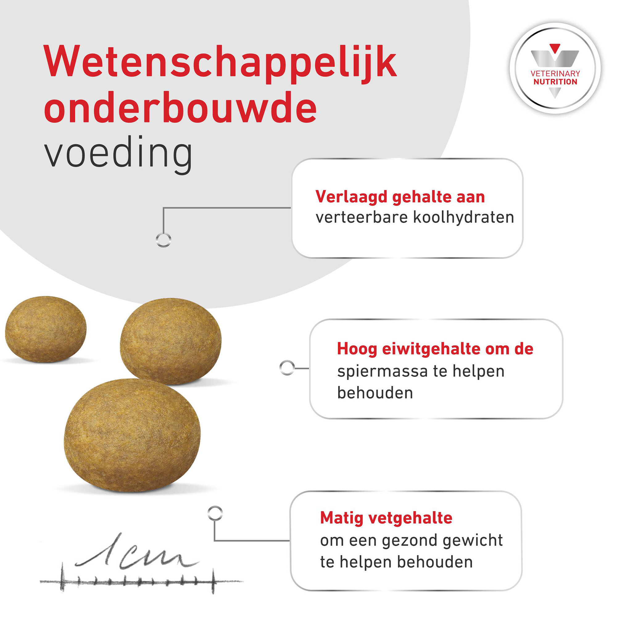 Royal Canin Glycobalance Small Dog