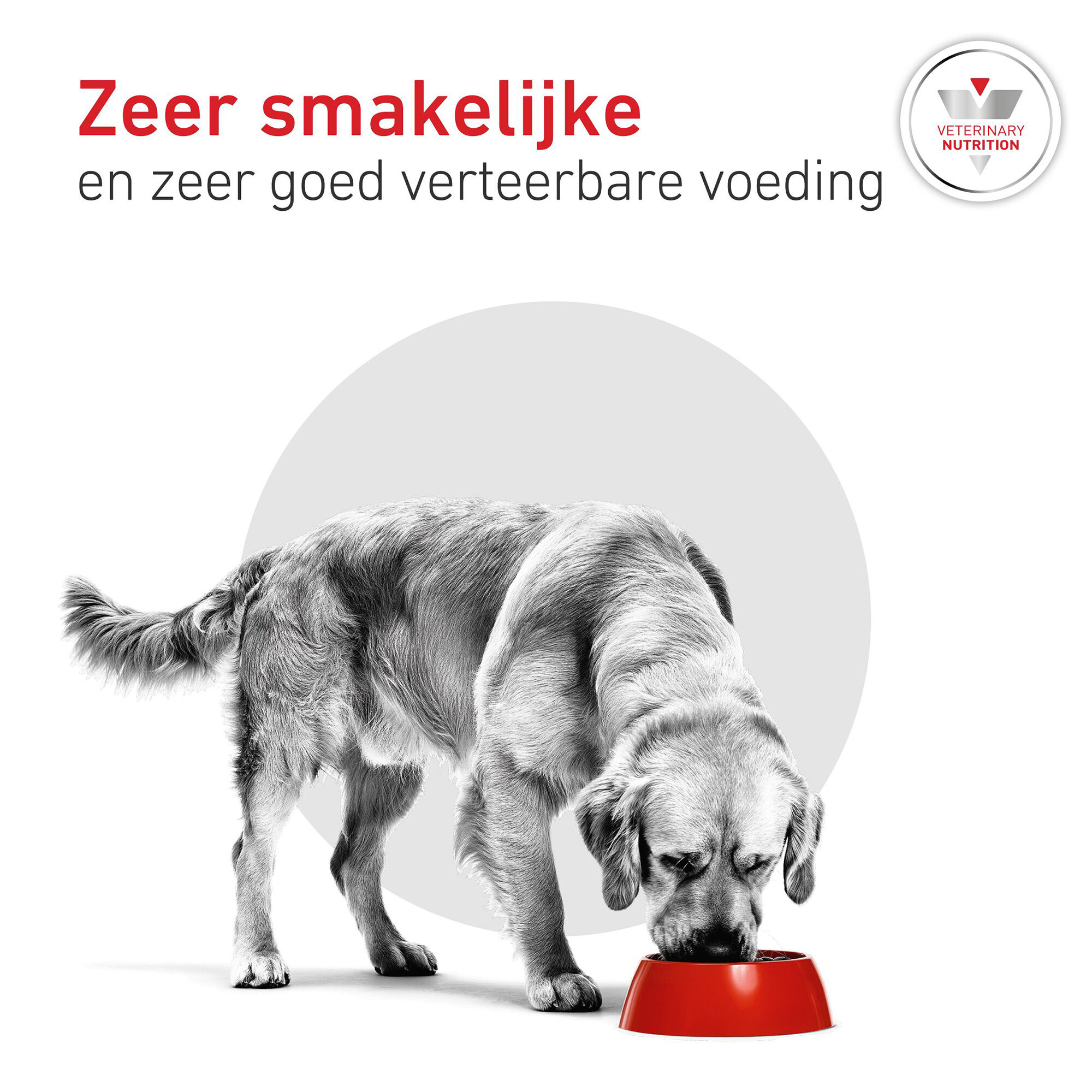 Royal Canin Glycobalance Dog