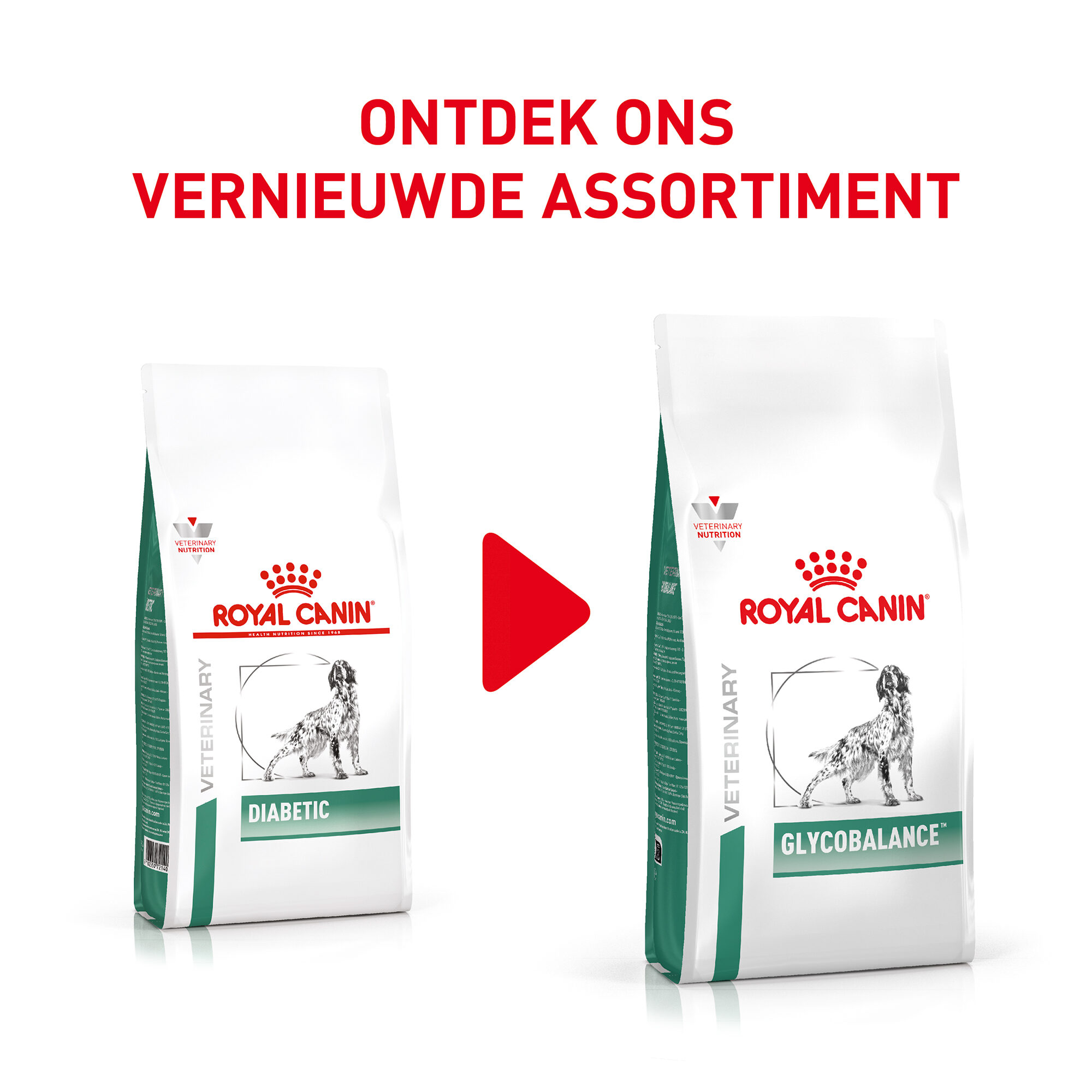 Royal Canin Glycobalance Dog