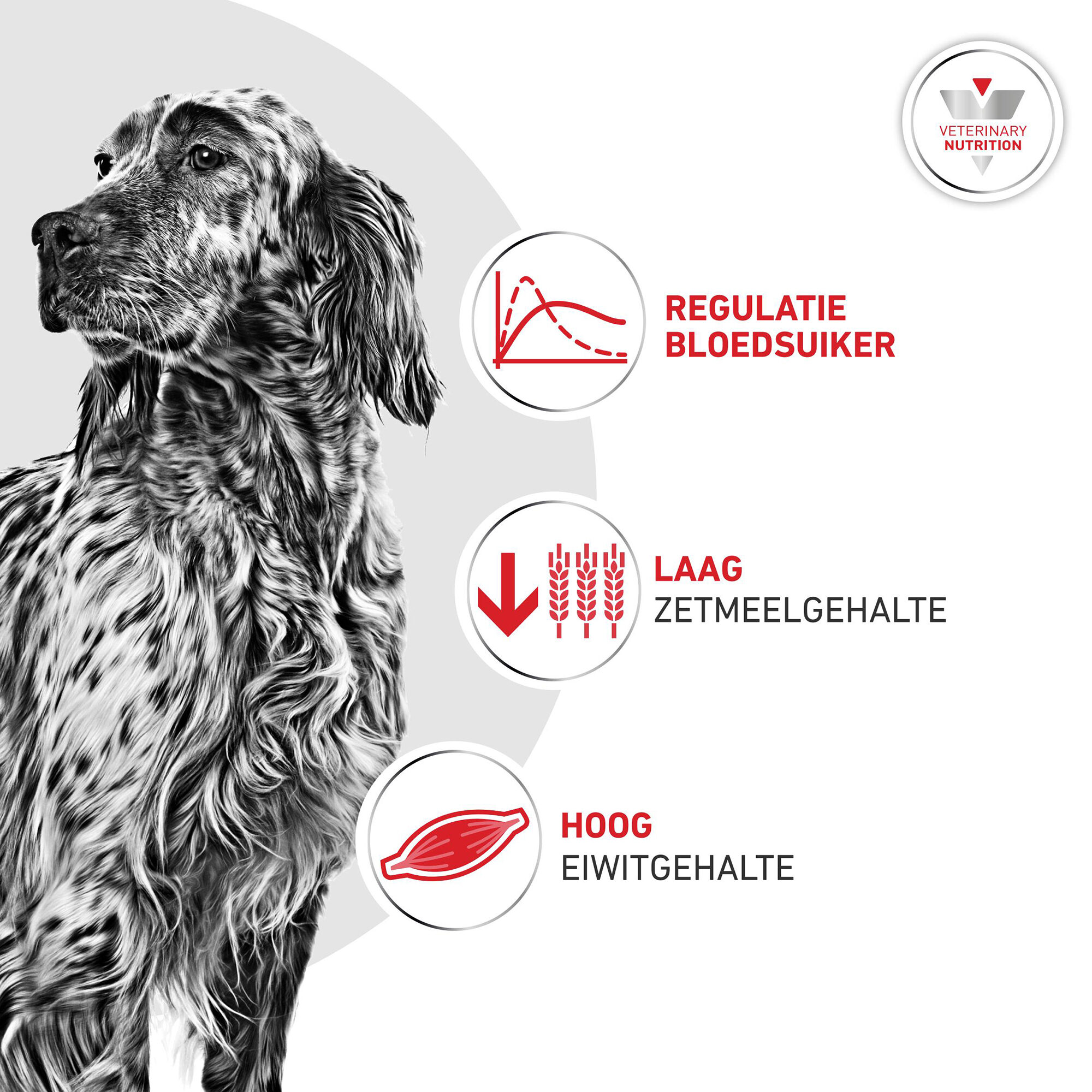Royal Canin Glycobalance Hond - Blik