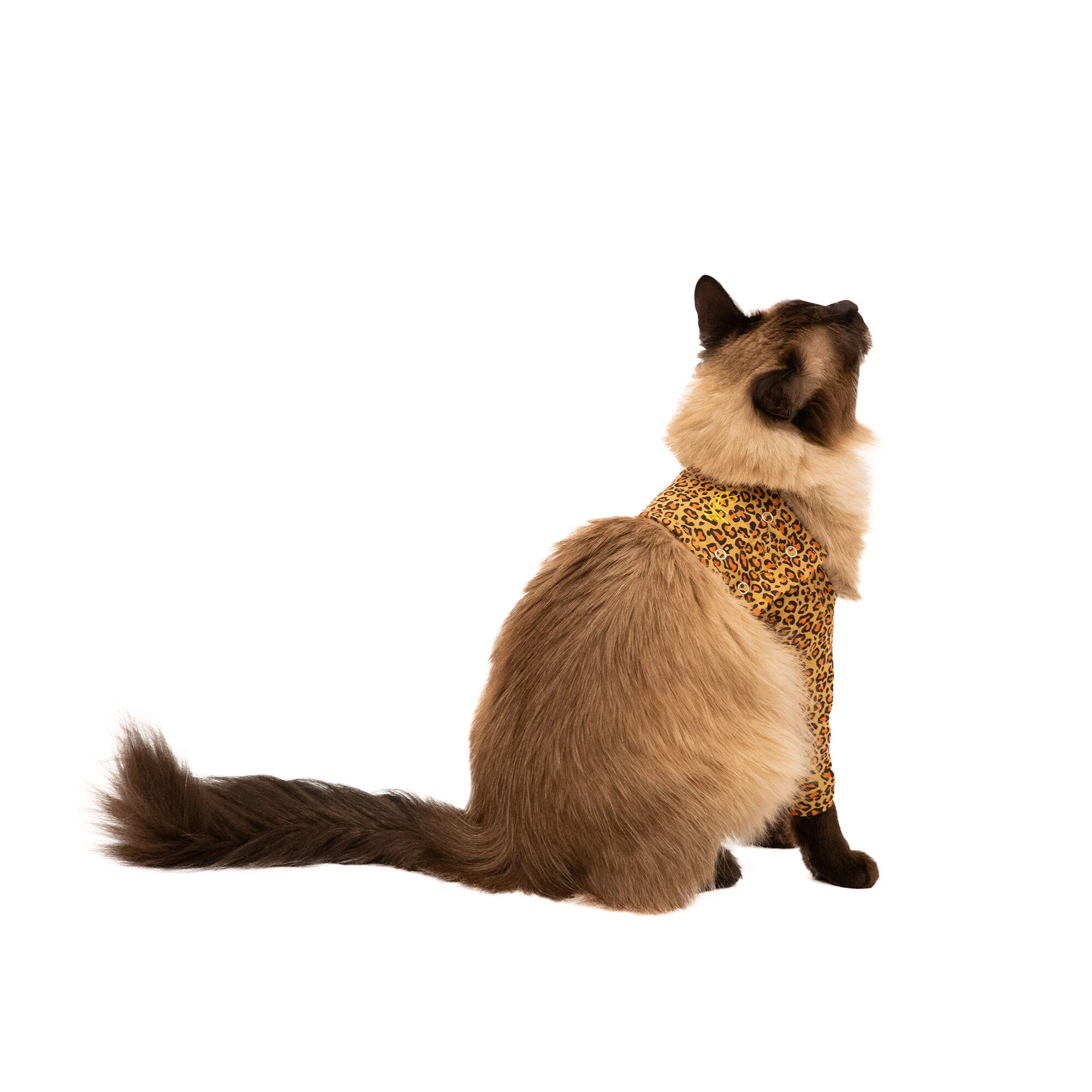 MPS Foreleg Sleeve for Cats