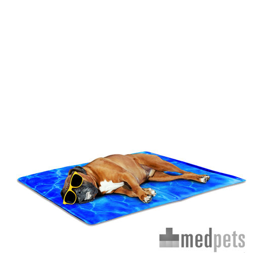 Afp chill out always cool dog mat top