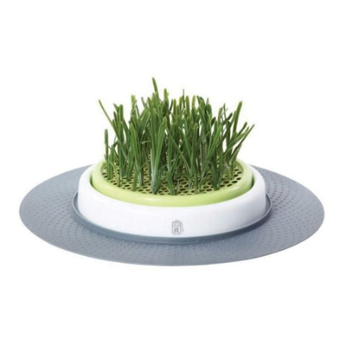Catit store senses grass