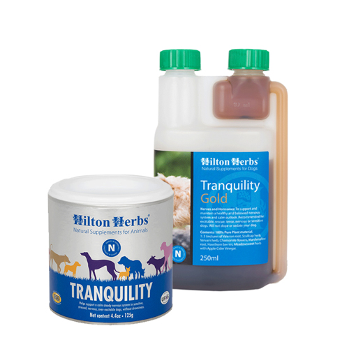 Hilton Herbs Tranquility Gold For Dogs - 250 Ml
