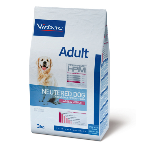 Neutered adult shop large dog