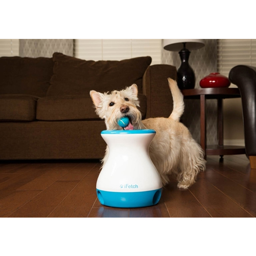 iFetch Frenzy - Lanceur de Balles pour Chien